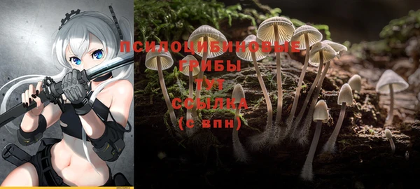 jwh Армянск