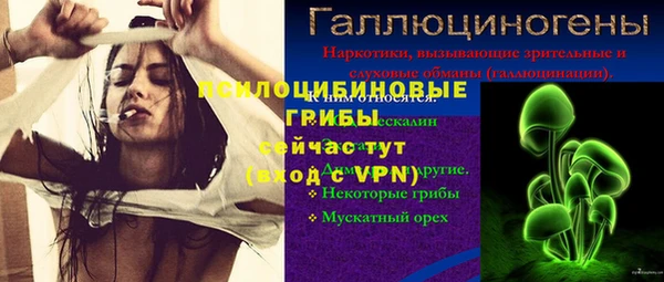 каннабис Арсеньев